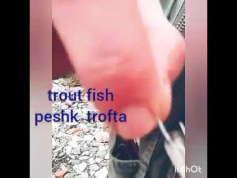 Video: Asnjë Peshk Pa Pasuri - Peshkimi I Troftës