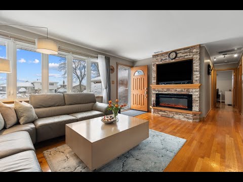 8232 S Ferdinand Avenue, Bridgeview, IL home video tour
