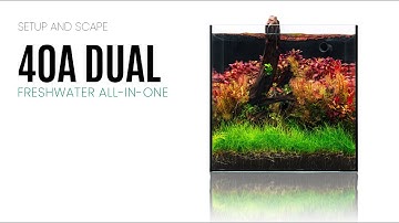 UNS 40A Dual All-in-One Planted Aquarium - Setup and Scape an AIO Aquarium