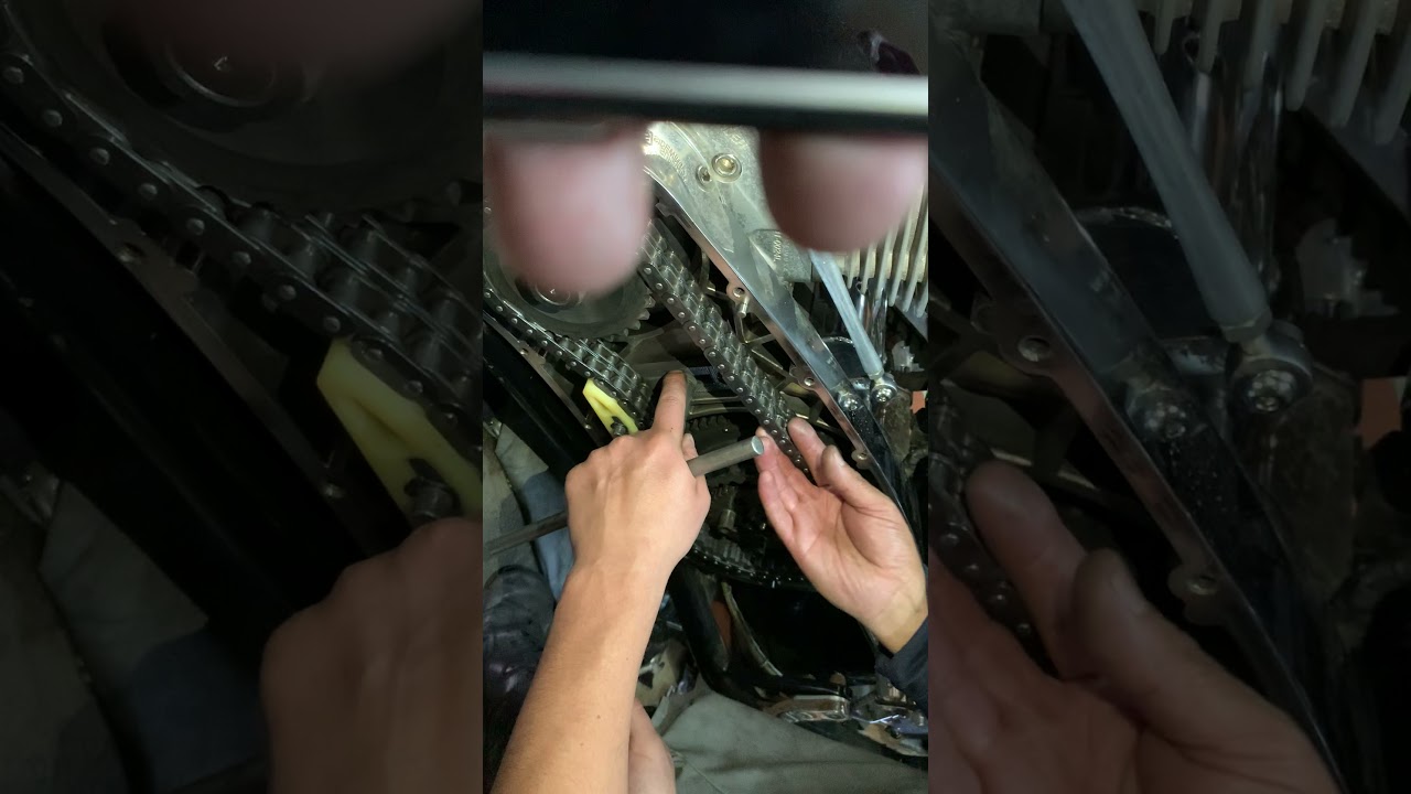 Big Dog Primary fix part3