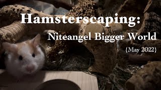 Hamsterscaping Cleaning Setting Up Niteangel Bigger World Hamster Cage