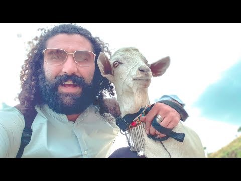 EN KENIA, VIAJANDO CON UNA CABRA + GORDURAS #TravelWithAGoat