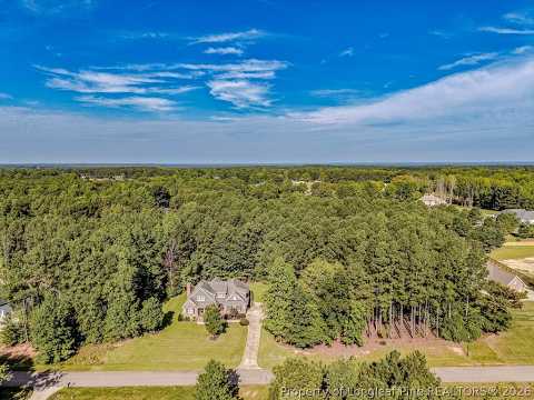 241 Saintsbury Place, Sanford, NC home video tour