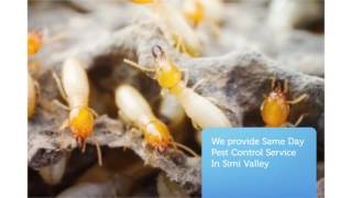 O'Connor Pest Exterminators Simi Valley, CA
