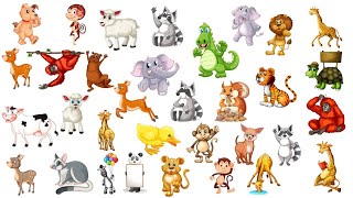 Animals png and vector | Use in kids worksheets and books