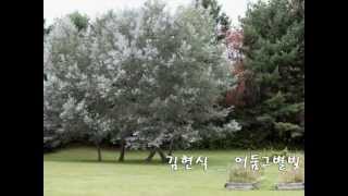 어둠그별빛_김현식
