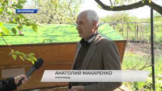 Хороший сон – залог здоровья. Хороший сон – залог здоровья.