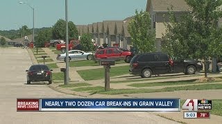 Thieves hit cars in Grain Valley neighborhood