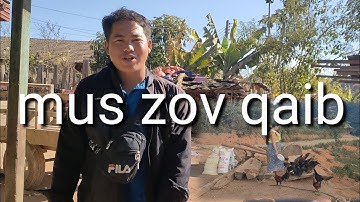 tus niam tsev wb tuaj mus zov qaib lawm nawb