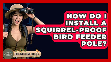 How Do I Install A Squirrel-Proof Bird Feeder Pole? - Bird Watching Diaries
