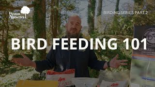 Bird Feeding 101: How to Choose the Right Feeder & Seed for Every Bird