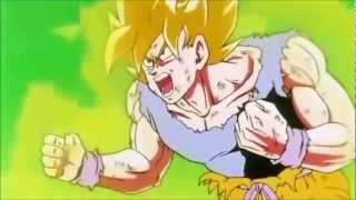 Dragon Ball Z - Without you