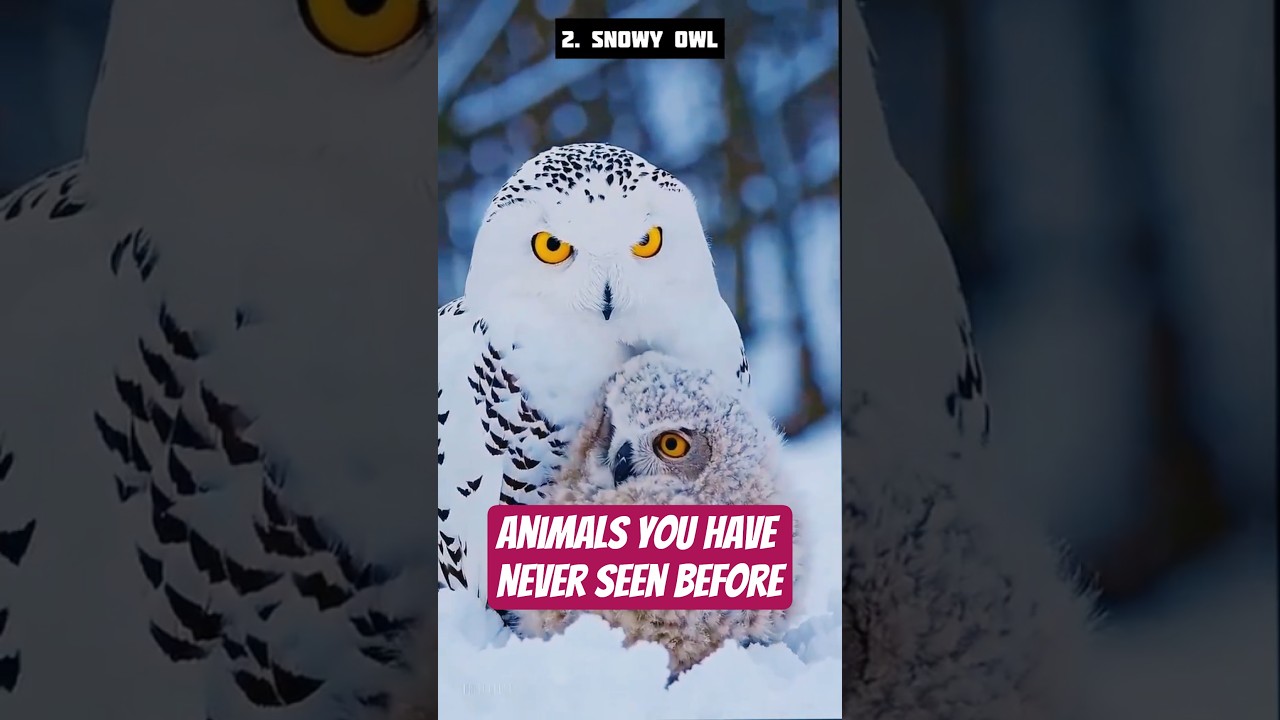 Животные, которых вы никогда раньше не видели 🦖🐦‍🔥🦕 