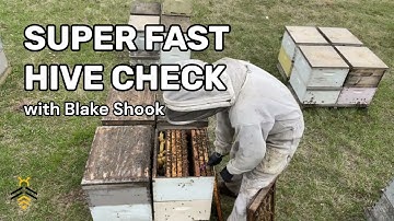 BEEKEEPING in under a minute: Super Fast Hive Check with Blake Shook