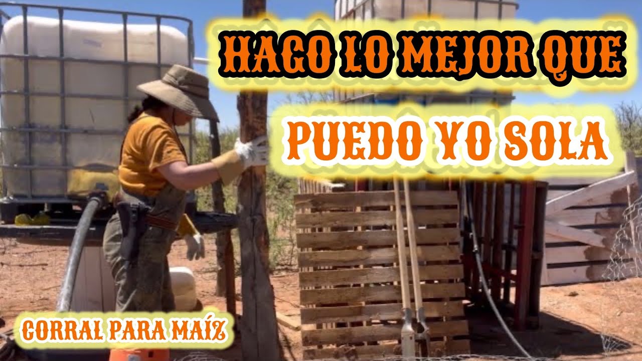 79~🌵CORRAL PARA MAÍZ 🌽FUERTE EL SOL Y CALOR 🥵