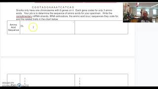 Snork DNA and Traits
