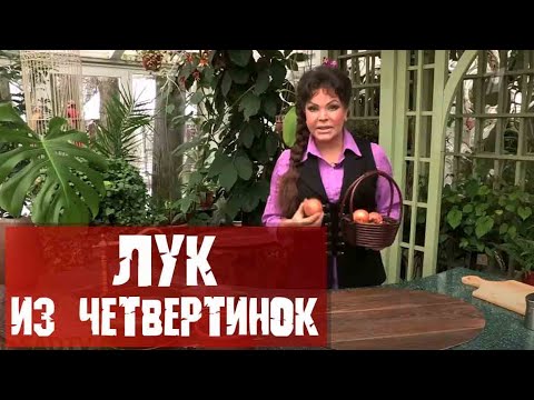 КАК ВЫРАЩИВАТЬ ЛУК