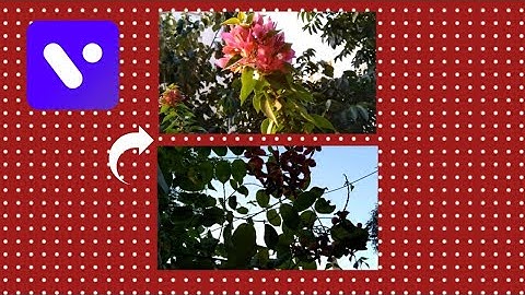 How to Add Multiple Video Clips in Single Video Using VITA App | Vita Video Editing Tutorial