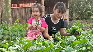 Single Mother - The first bunches of vegetables in the garden are harvested and sold