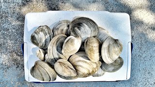 BACK BAY CLAMMING IN NEW JERSEY