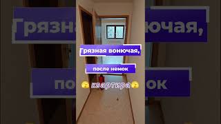 видео: Не все немцы чистоплотные. Квартира в Германии грязь, запах, мухи. #немецкийбыт  картинка: Не все немцы чистоплотные. Квартира в Германии грязь, запах, мухи. #немецкийбыт