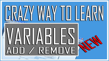 Visual Basic Beginner Lesson 12 - Add / Remove Variable (Crazy Tutorial)