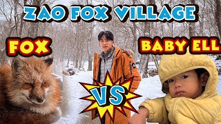 หมู่บ้านสุนัขจิ้งจอก บนเทือกเขาอันแสนลึกลับ Zao Fox Village