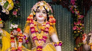 When I See Radha Rani In Yellow Poshak