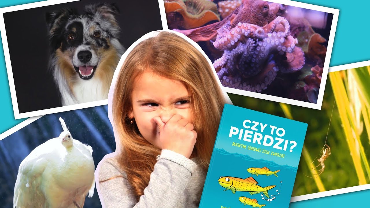 Czy to pierdzi? Sekretne (gazowe) życie zwierząt natura plaza cali