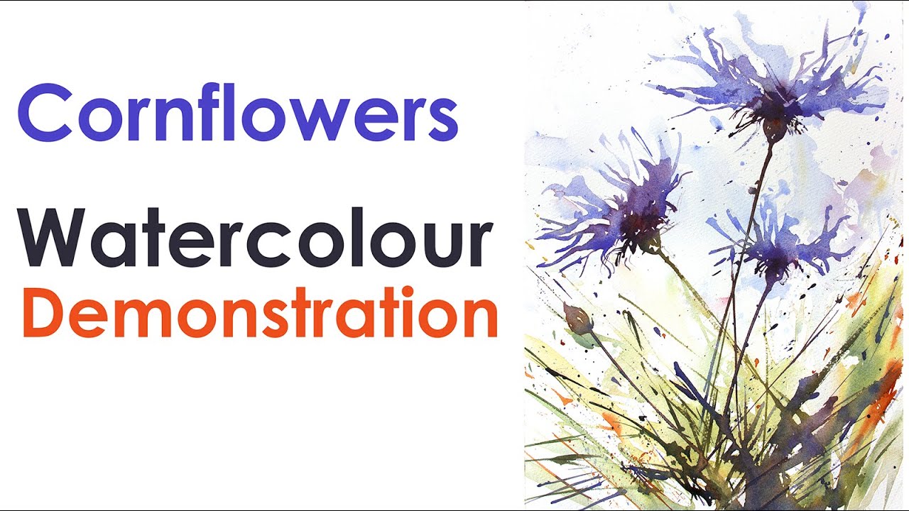 Corn Flowers Watercolour Demonstration