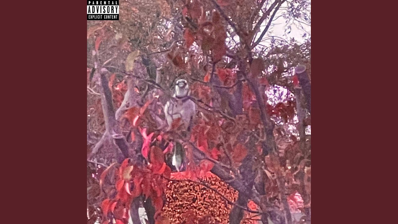 Watch DAEMONS on YouTube Watch DAEMONS on YouTube
