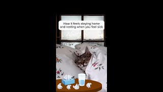 Stay Home When You Feel Sick