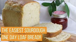 One Day Sandwich Bread!! Ready to Eat Sourdough Sandwich Bread in one Day!