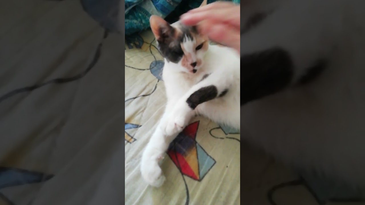 Мужчины запомните 👆🙈😂😂😜 