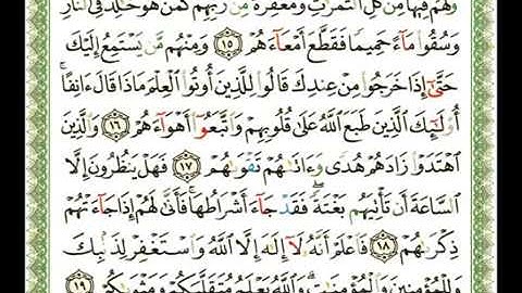 047 - سورة محمد - ناصر القطامي