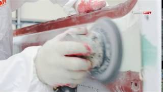 Auto-Cuby Producer Buses Minibuses