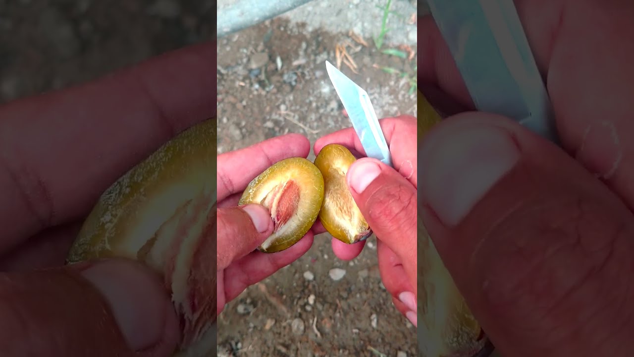 How To Cut Prunus🍑Fruit .