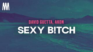 David Guetta feat. Akon - Sexy B*itch (Lyrics)