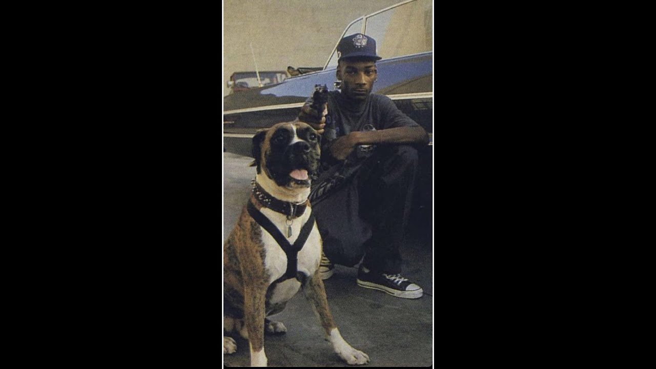 [FREE] WESTSIDE GUNN SAMPLE 70 BPM YouTube