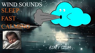 WIND SOUNDS FOR BABIES baby sleep relaxing