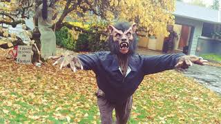 Werewolf finish 2021