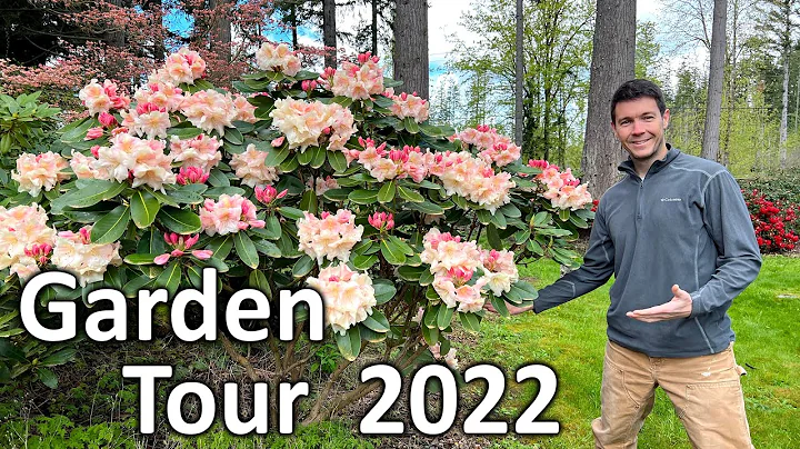 Rhododendron Garden Tour 2022 | Flowers are Bloomi...