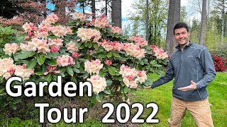 Rhododendron Garden Tour 2022 | Flowers are Blooming at Kincaid's Nursery