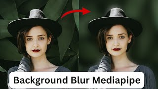 Portrait / Selfie image segmentation using Mediapipe | How to blur the background in Mediapipe.