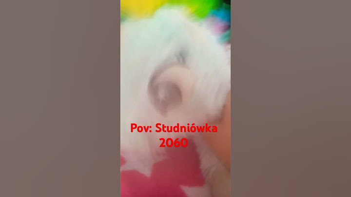 pov: Studniówka 2060