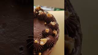 Chocolate cake any one ? #shorts #cakedecorating #chocolatecake #homemade