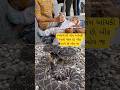 આંચકી આવી જાય છે#epilepsy #cramps #snake #snakevideo #snakes #snakehead #snakerun #snakegame #shorts