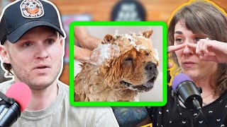 The INSANE life of a Dog Groomer- No Bad Dogs Podcast The INSANE life of a Dog Groomer- No Bad Dogs Podcast