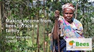 Making income from bees to raise a family