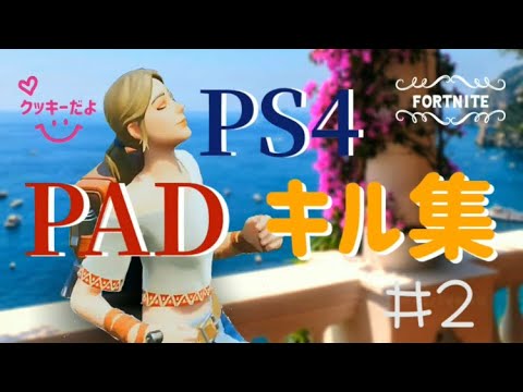 【フォートナイト】PS4パッドのキル集＃2　[Valiant2017]
